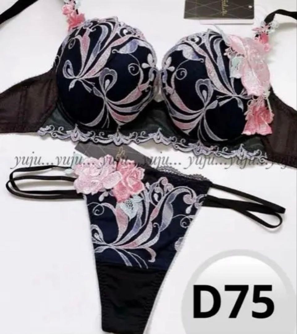 ワコール/サルート 66グループ 新品タグ付 P-upブラTバックD75 BL