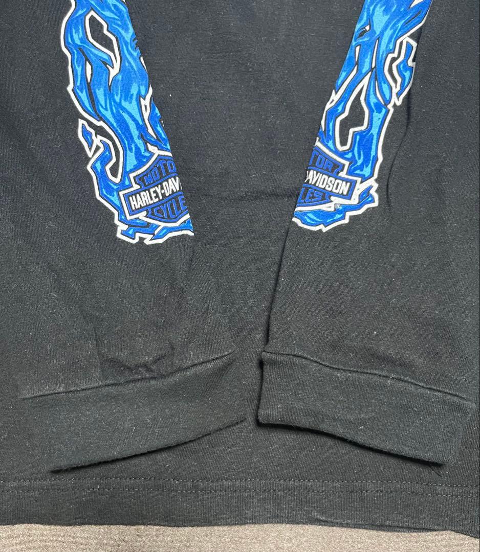 白窪　90s 00s harley davidson ハーレー ブルー