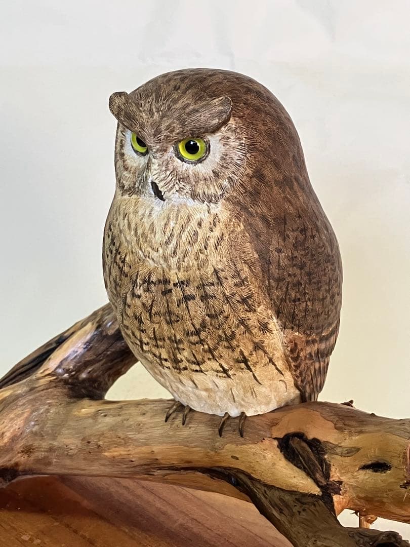 バードカービング　コノハズク