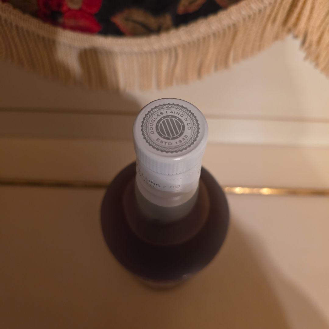 [新商品] 限定商品 発売開始スカリ－グワグウインター[Kanabun]