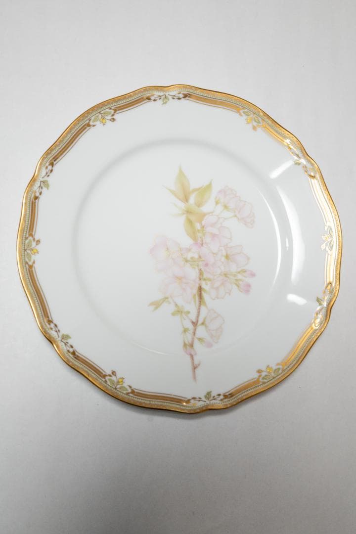 【Noritake ノリタケ】 6枚　GALA CONTESSA プレートセット