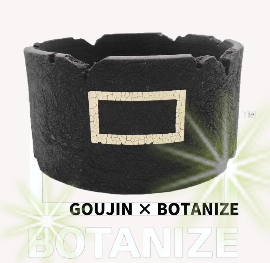 〖GOUJIN×BOTANIZE〗 熊本限定 LOGO M Pot 15cm鉢