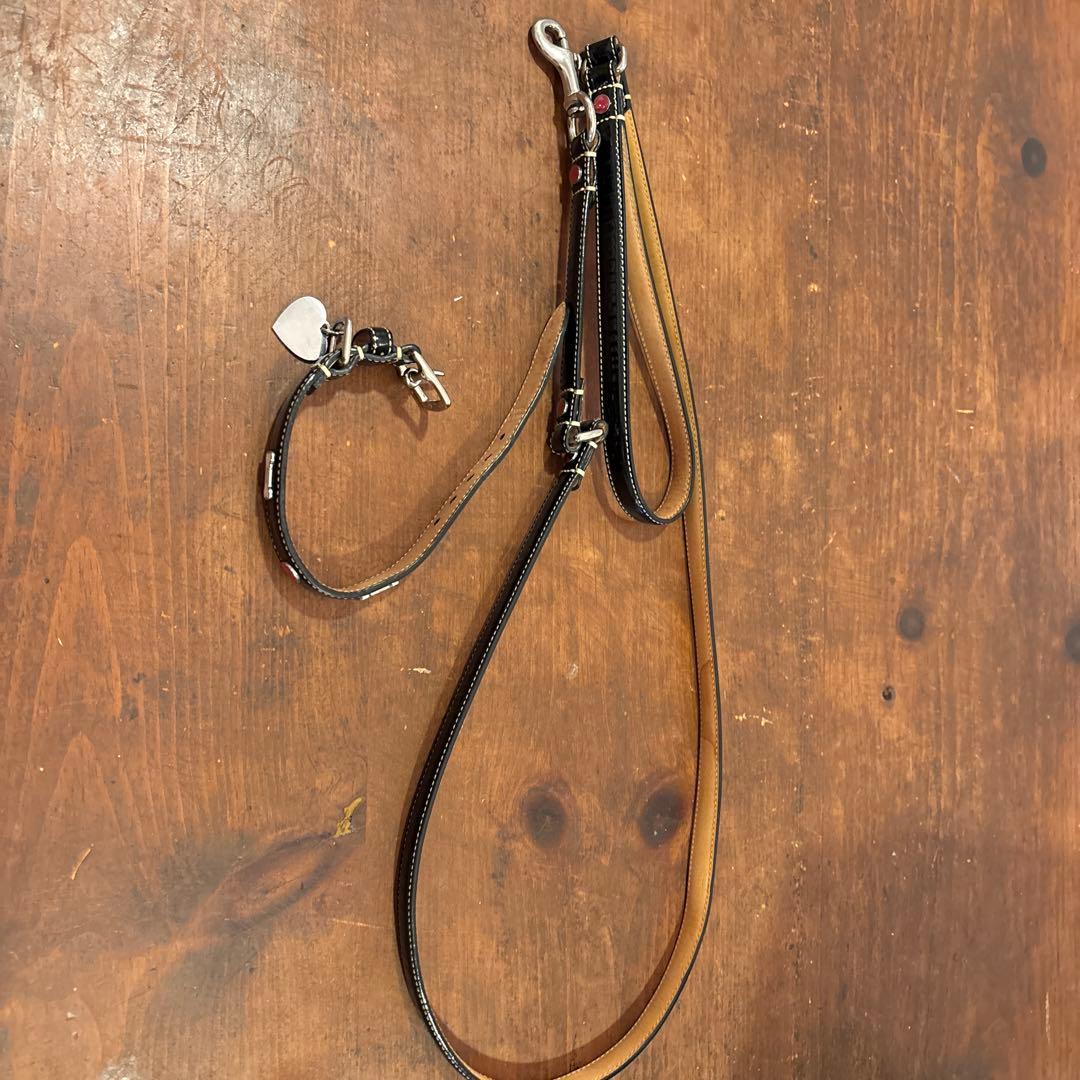 ★kai★ COACHレザー 犬用リードと首輪セット