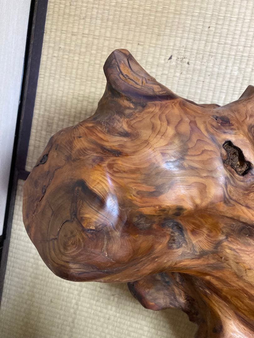 屋久島　屋久杉　置物