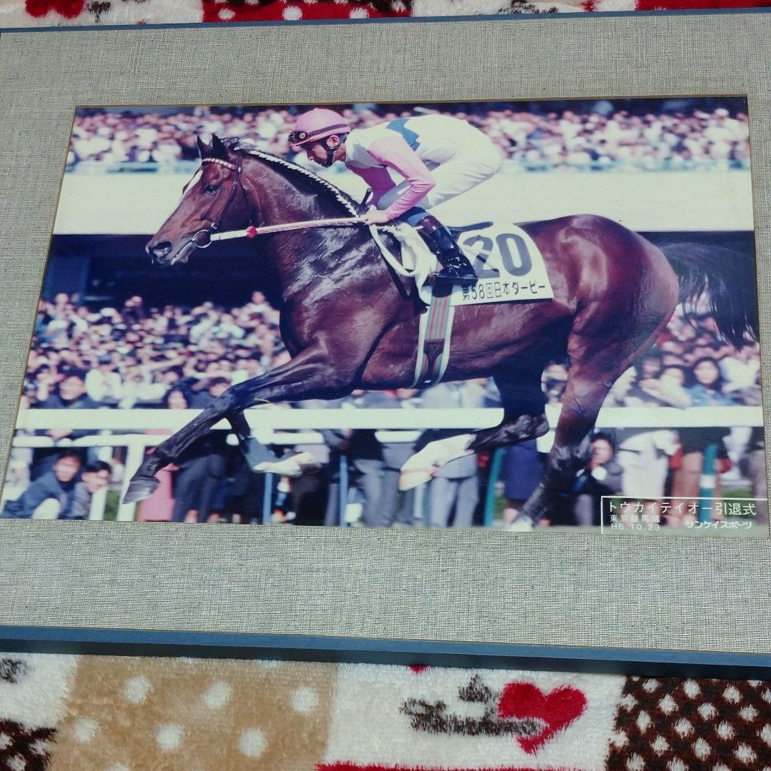 トウカイテイオー引退式写真パネル