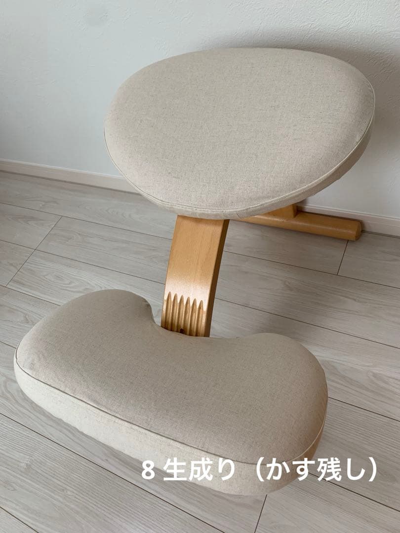 【オーダーページ】バランスイージーカバー　バランスチェアカバー　バランスチェア