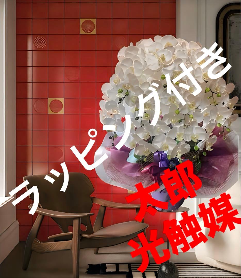 光触媒　人工観葉植物　ウォールグリーン　フェイクグリーン　リアル胡蝶蘭10本