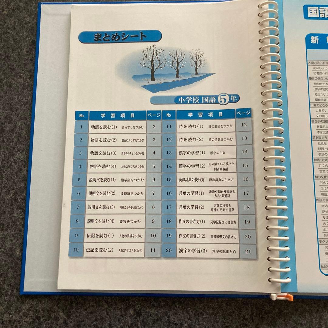 家庭学習専用指導書 小4-6 算数　国語