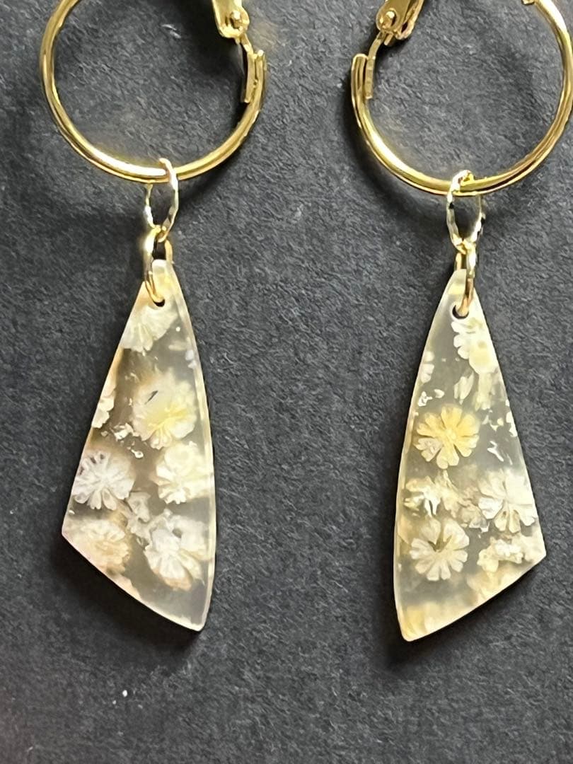 skygray　フォッシルコーラル7点