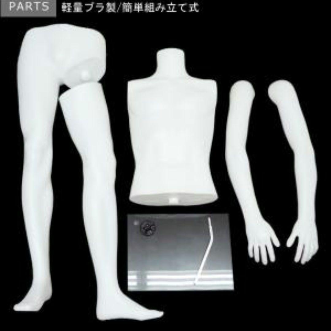 新品 紳士 マネキン メンズ 男性 ヘッドレス 男性 ホワイト 白 全身 軽量