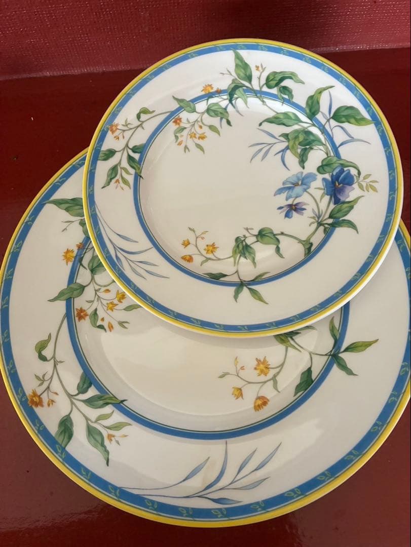 花柄の皿セット 大皿27cm 小皿20cm