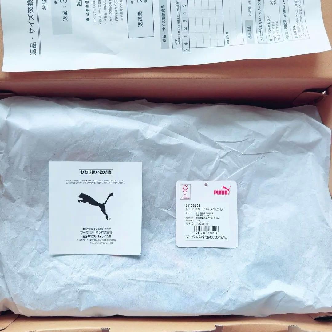 All-Pro Nitro Dylan Exhibit【29cm】メンズバッシュ