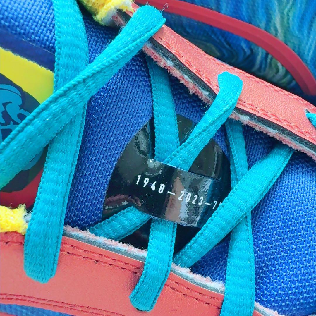 All-Pro Nitro Dylan Exhibit【29cm】メンズバッシュ