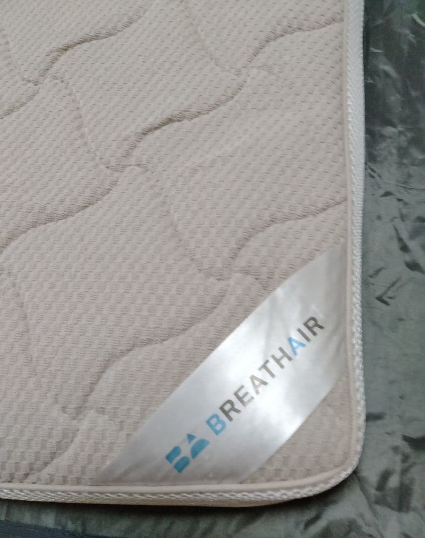 東洋紡 ブレスエアー ディノス購入6ヶ月使用 中古
