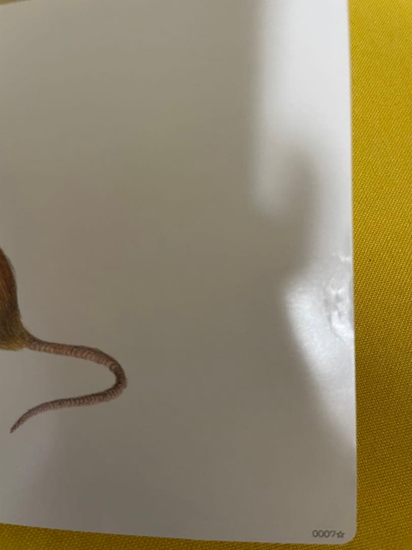 かな絵ちゃん 6冊セット A