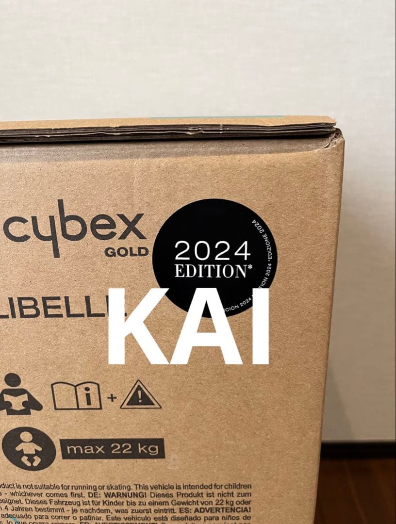 【バンパーバー付】サイベックス リベル 2024 キャンバスホワイト