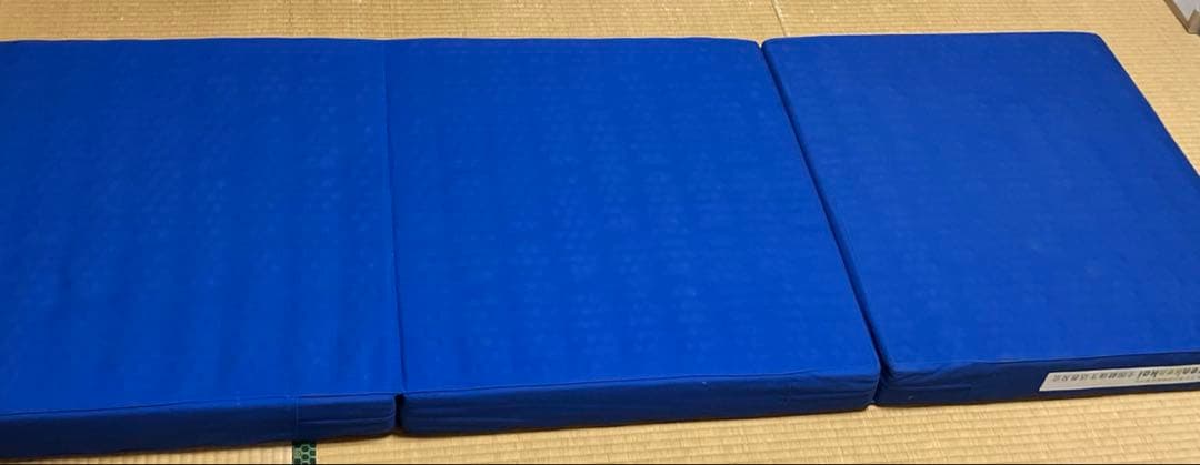 ヘルスウェーブ　施術用　出張用マット