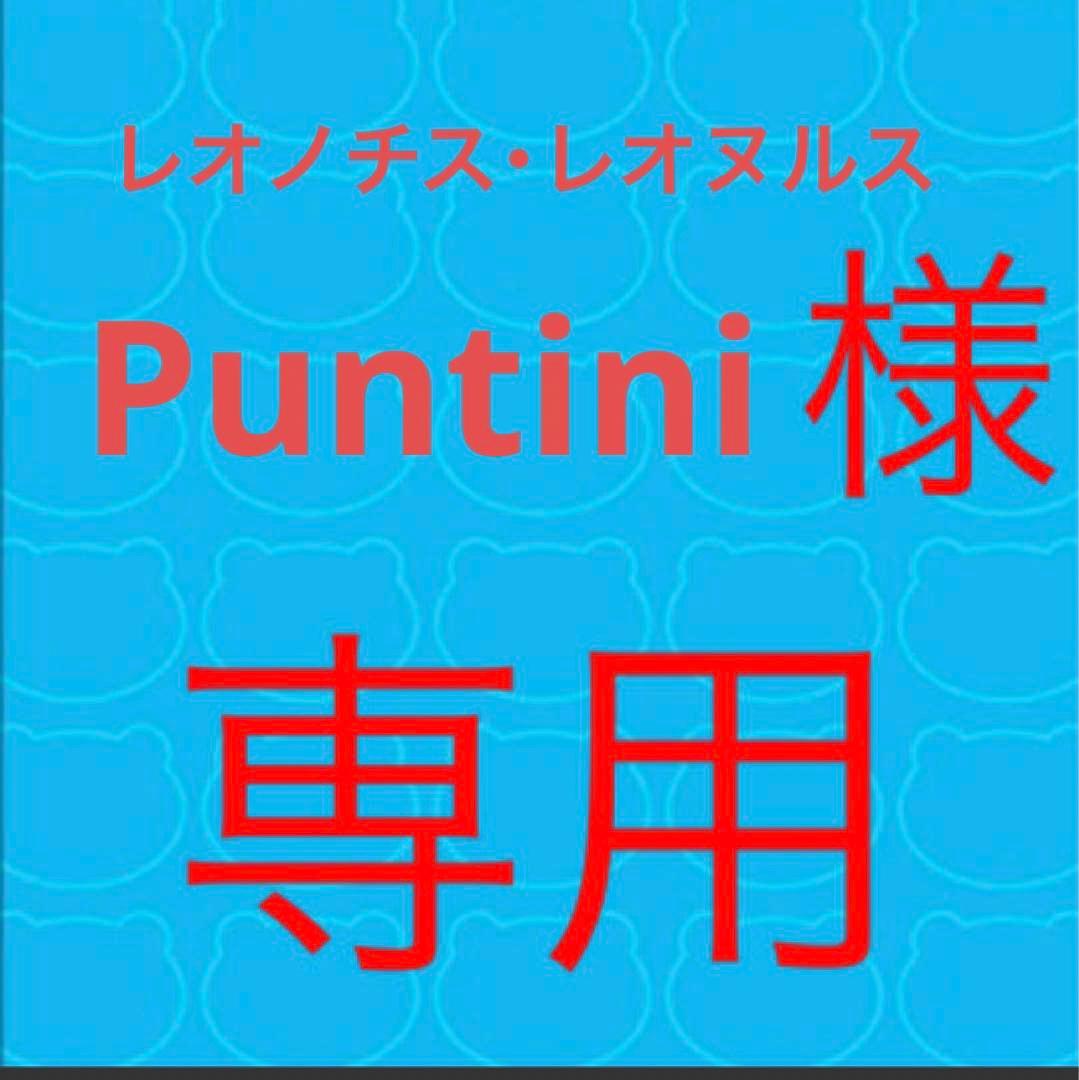 Puntiniレオノチス・レオヌルス苗