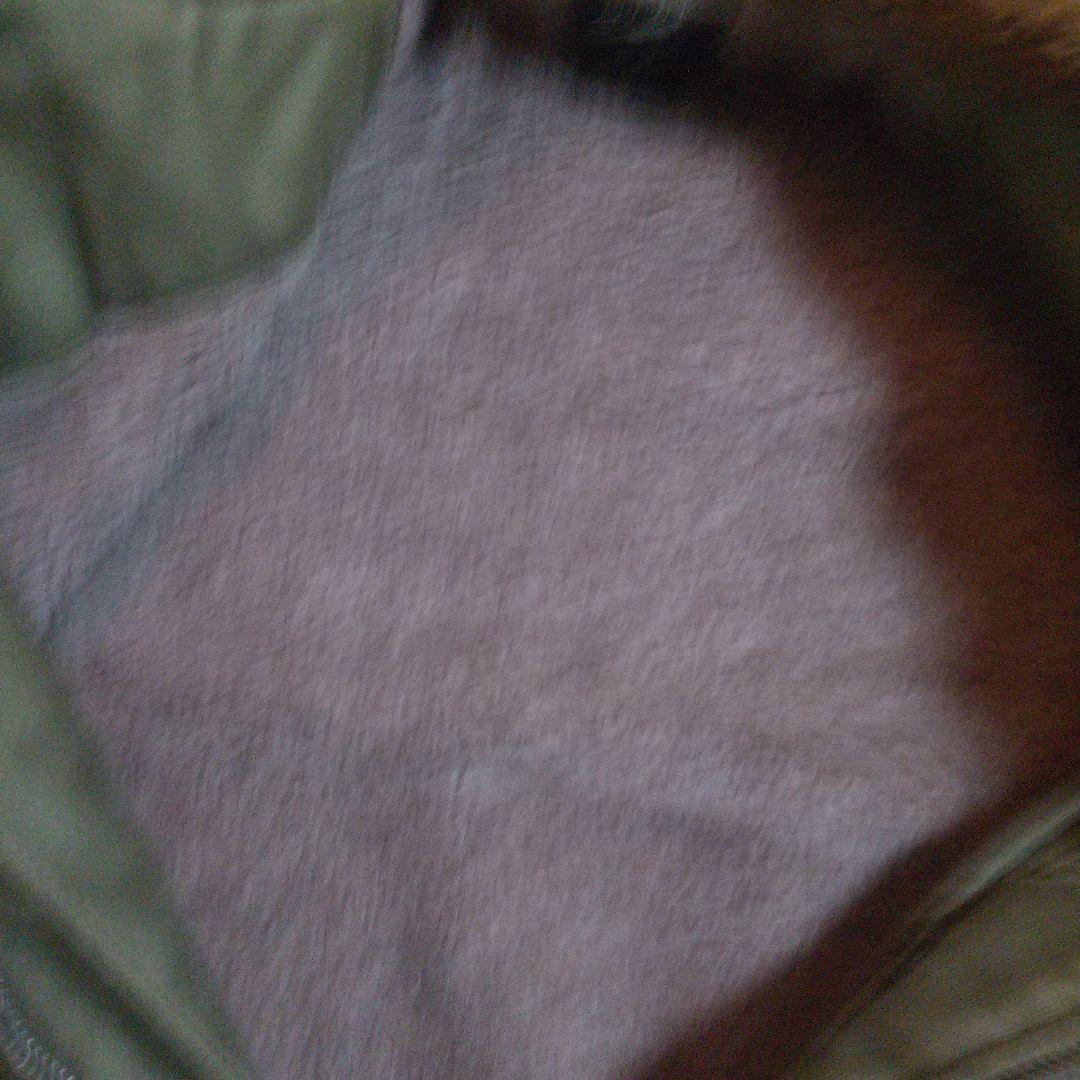 m*3様 激レア！ トイズマッコイ× ブラックトップ別注 B-10 短丈 アルパ