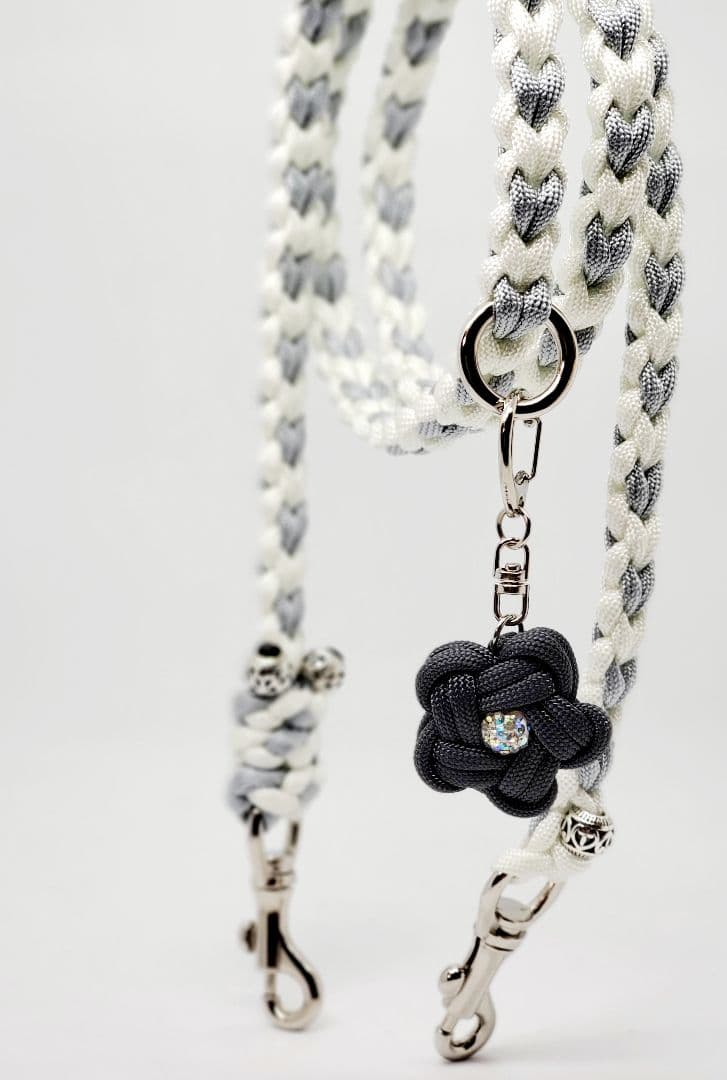 モダンクリアカフェリード