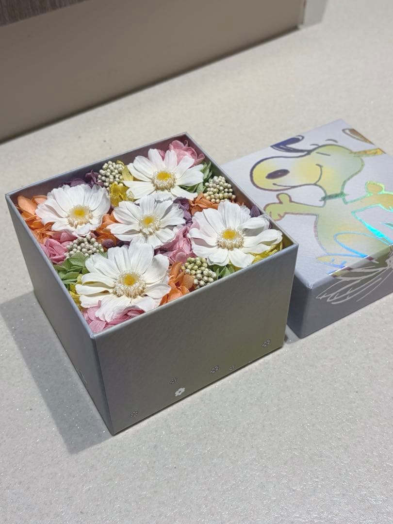 c*a様 【限定品】ニコライバーグマン×スヌーピー