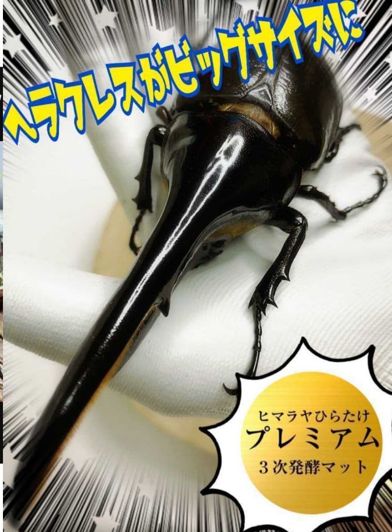 極上！プレミアム3次発酵カブトムシマット【たっぷり60L】幼虫の餌・産卵にも抜群