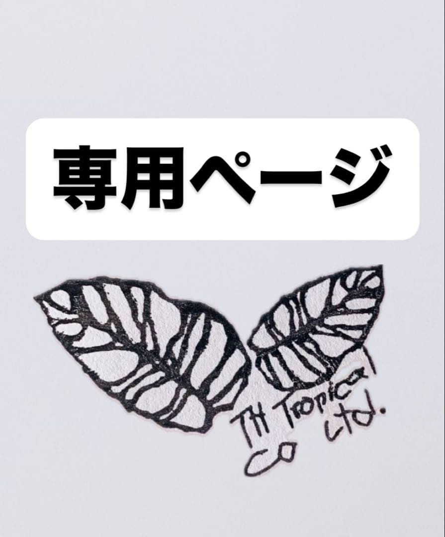 トシ　Lemon Lime ＊Mint Siam