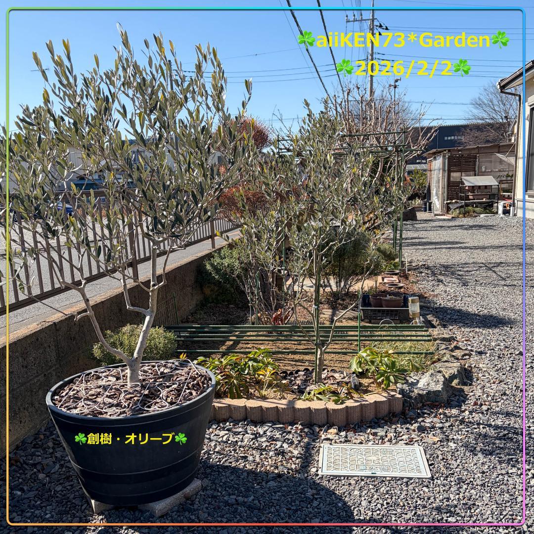 ☘️aiiKEN73*Garden☘️AG202602