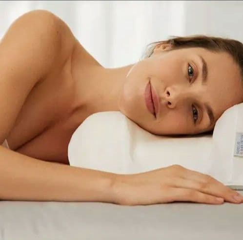 お値下げしました　オムニア枕　Omnia