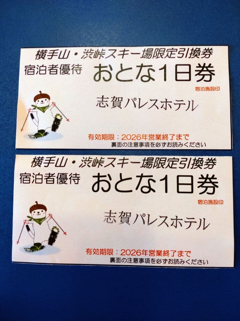 横手山・渋峠スキー場リフト１日券　２枚