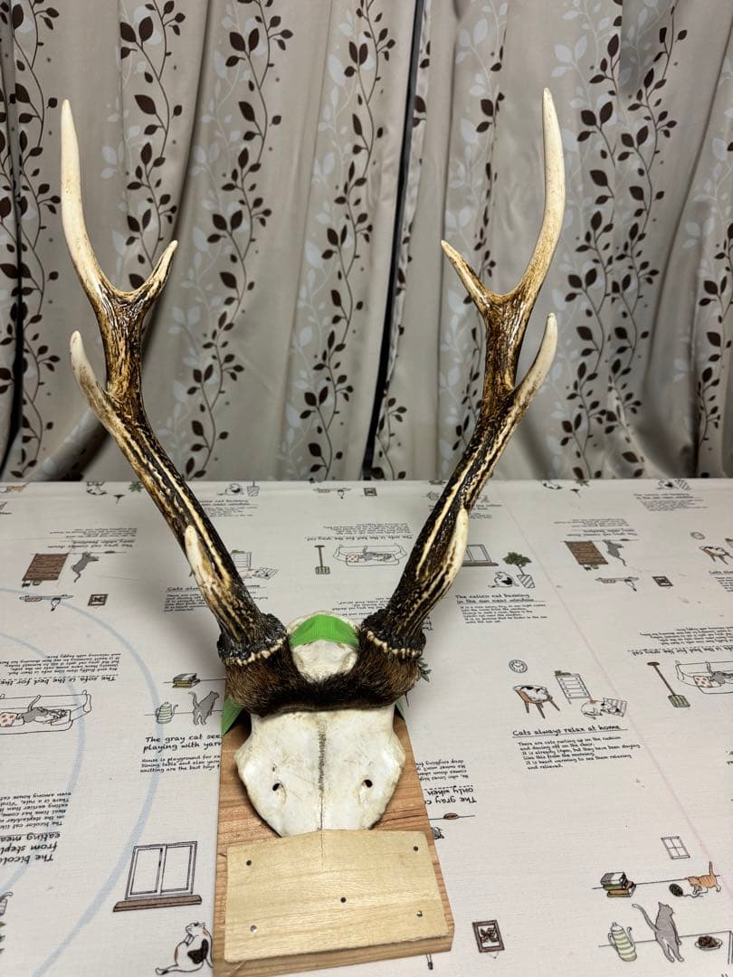 鹿の角　刀置き　オブジェ
