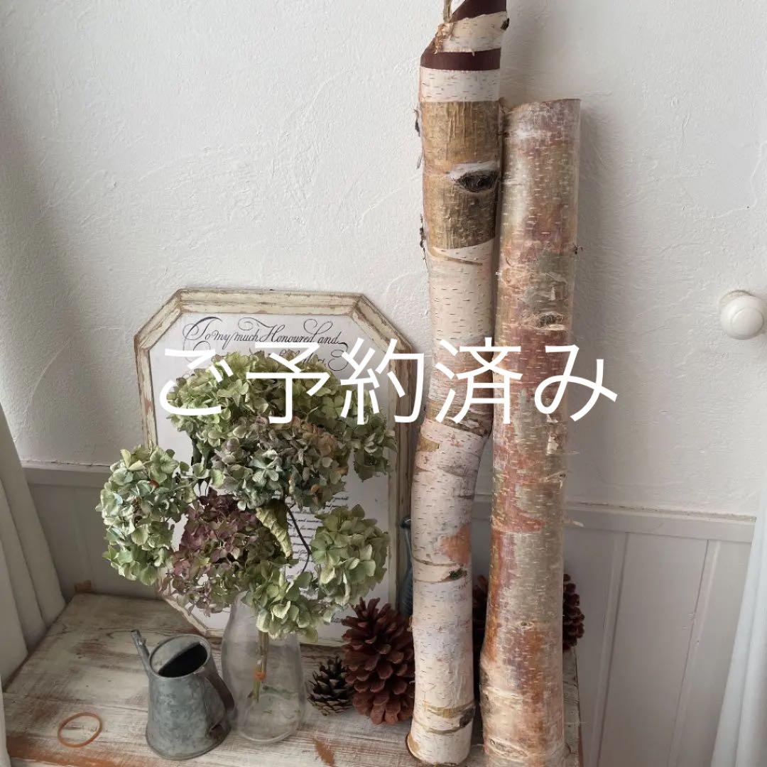 北海道白樺の木　店舗用ディスプレイ　装飾用2本セット