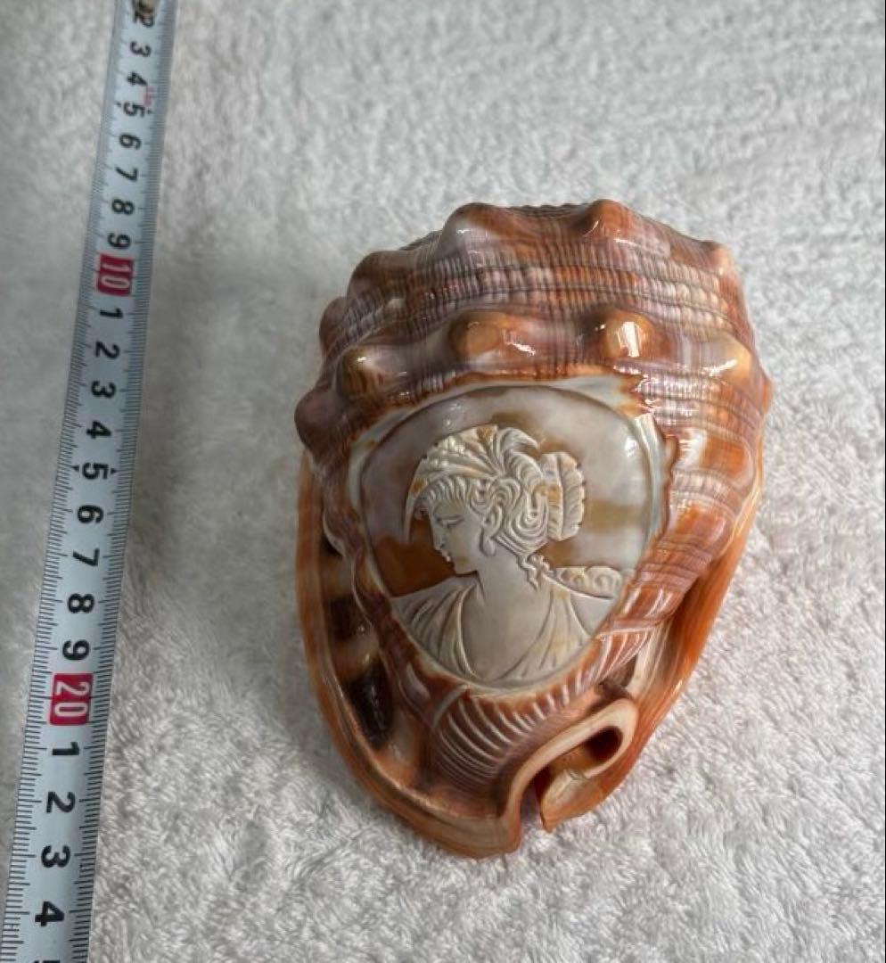 【天然モノ】彫刻女性像の貝殻 置物