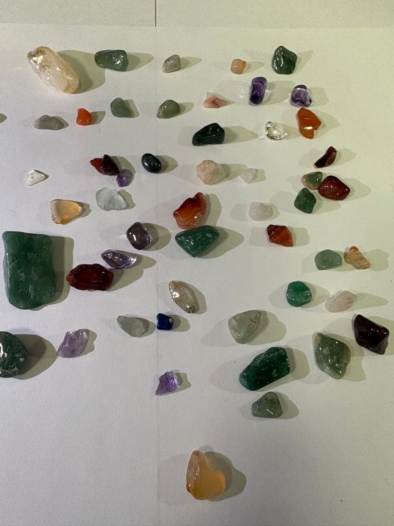 化石詰め合わせセット