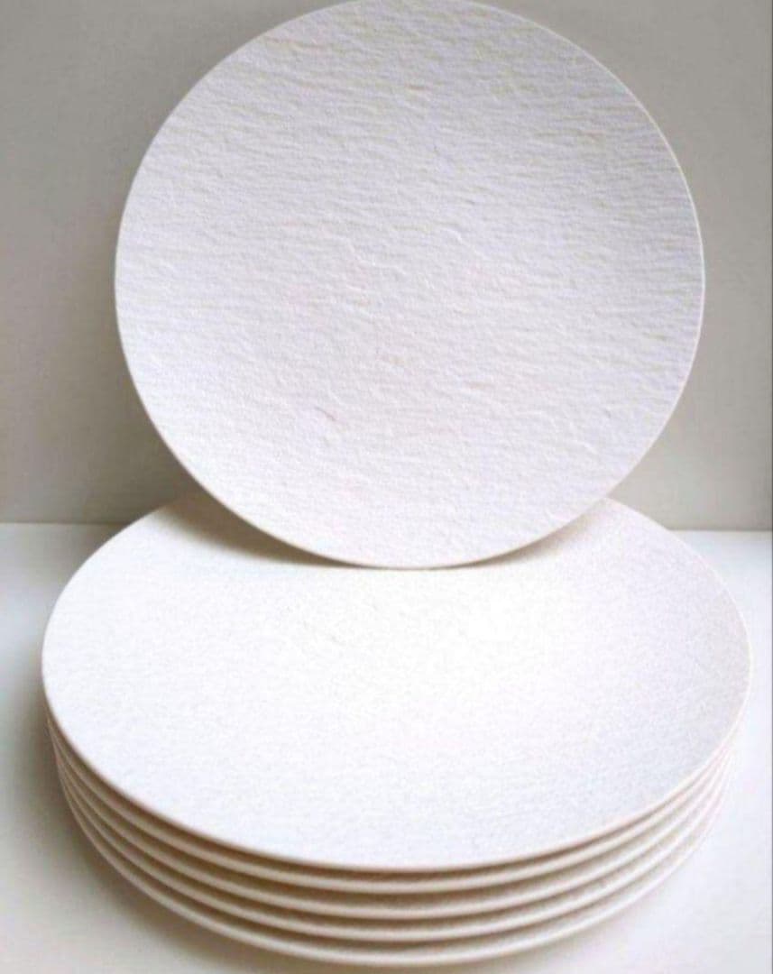 ビレロイ&ボッホ　ロック　白　大皿　５枚