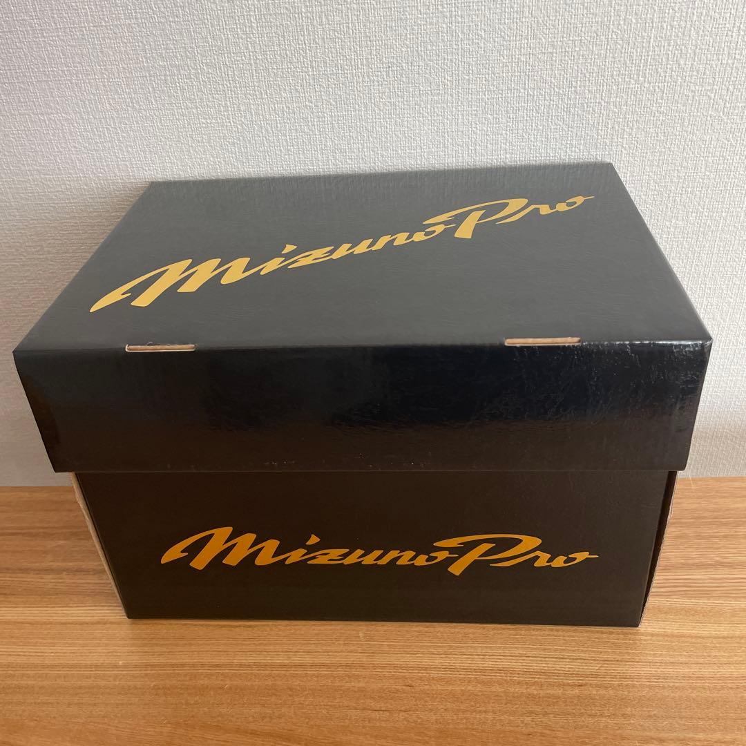 ミズノプロ　イチロー限定　硬式用　グラブ　定価72,600円　HAGA　グローブ