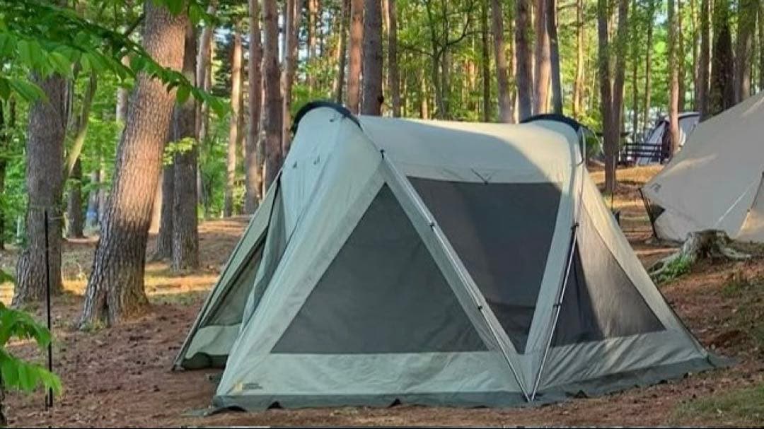 ナショナルジオグラフィック P-4