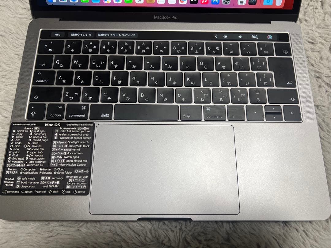 ヴ*イ様 【ジャンク品】MacBook Pro 13インチ 2017年 8G/2