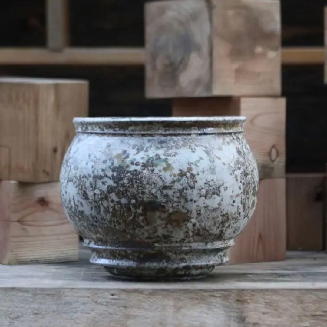 たけろうポット / 大鉢 / シロサビ+ミドリ【イベント限定鉢】(C)