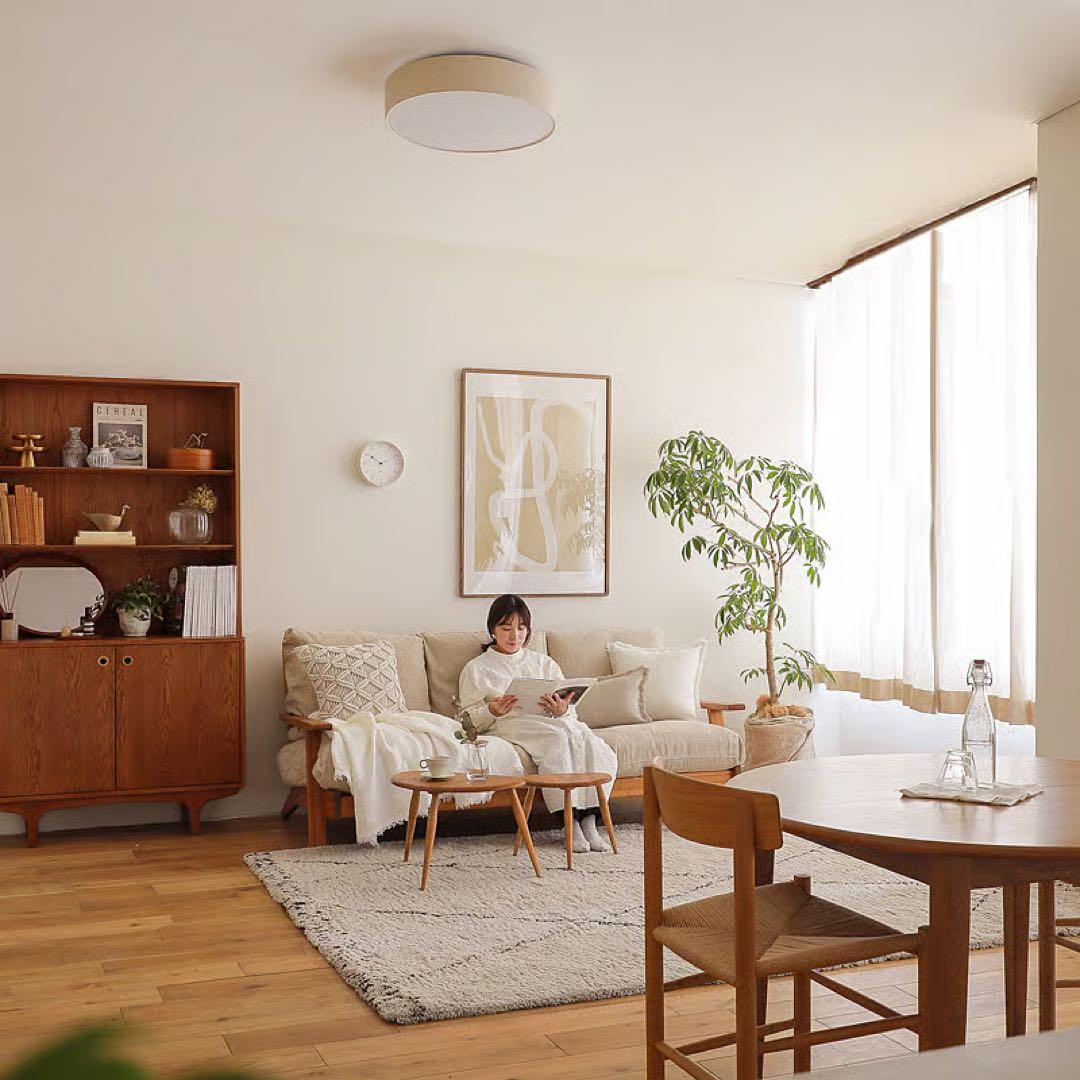 Re:CENO リセノ 天井照明 TEXASシーリングライト