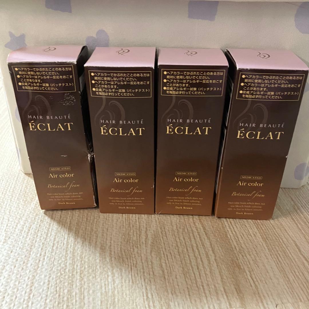 ボタニカル　エアカラーフォーム　80g ヘアボーテエクラ 白髪染め